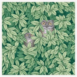 Fornasetti Sfondo^Carta Da Parati Foglie E Civette Verde Foresta