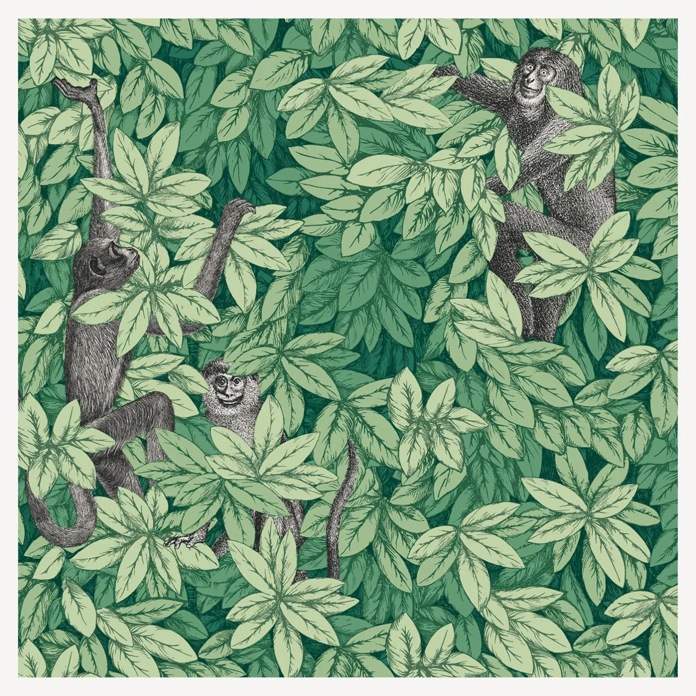 Fornasetti Sfondo^Carta Da Parati Foglie E Scimmie Verde Foresta