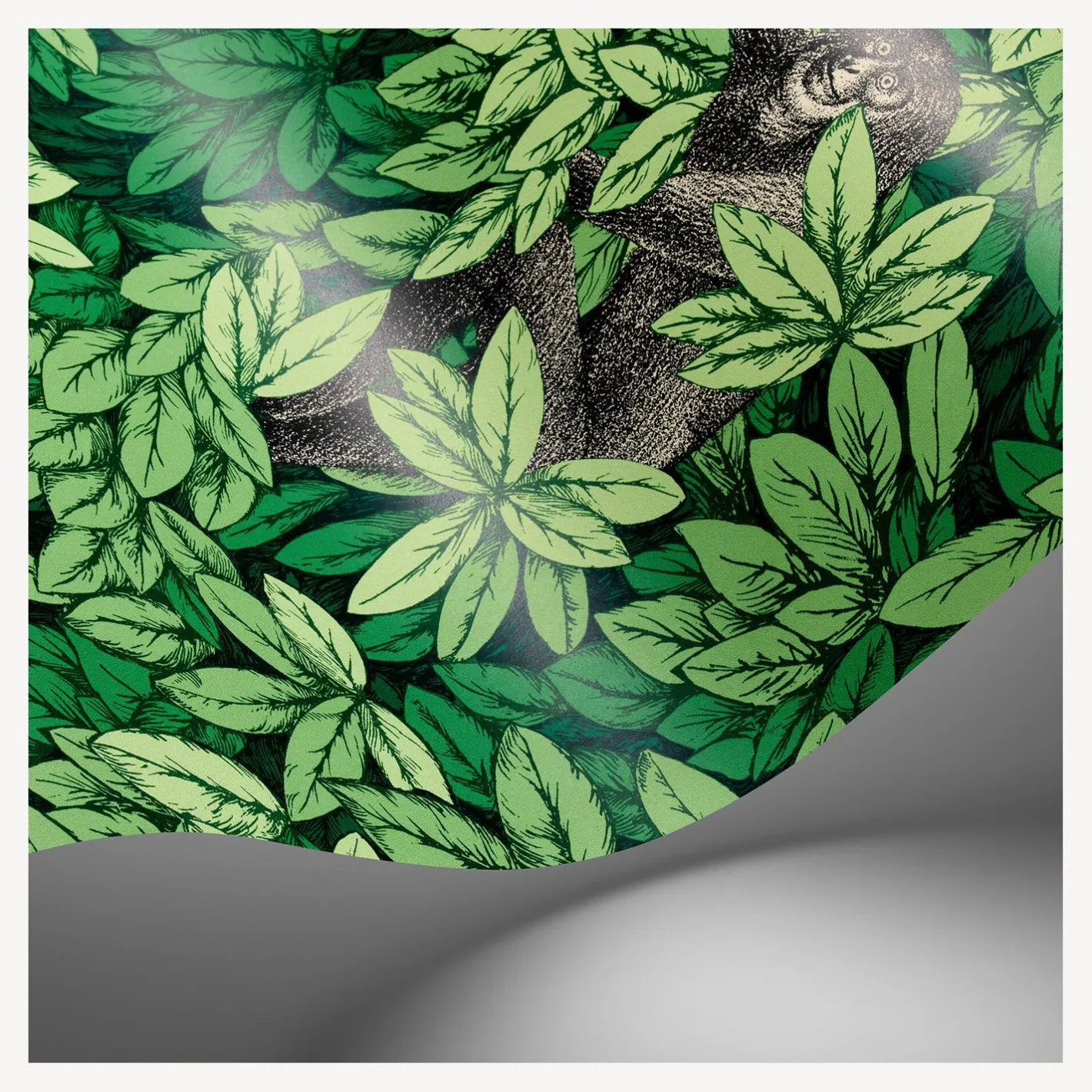 Fornasetti Sfondo^Carta Da Parati Foglie E Scimmie Verde Foresta
