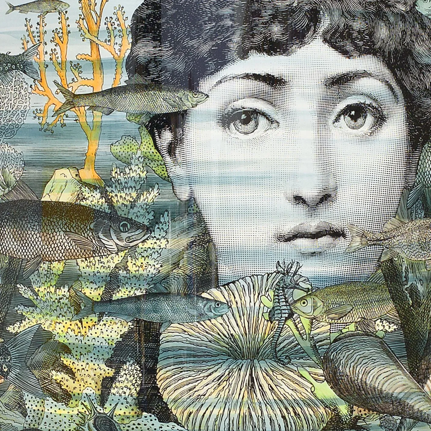 Fornasetti Console Di Archiviazione^Consola Sirena Multicolore