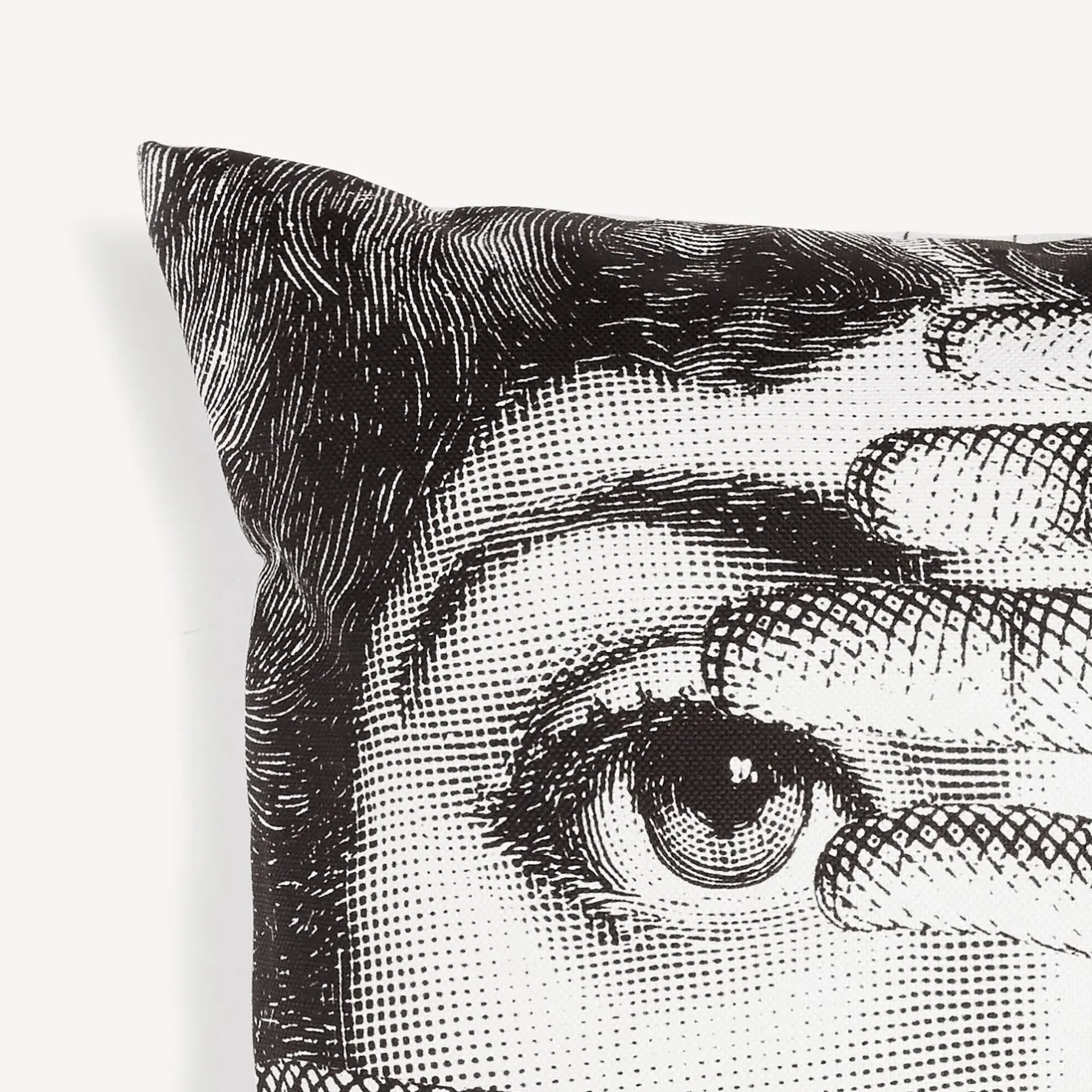 Fornasetti Cuscini^Cuscino Abbaglio Bianco Nero