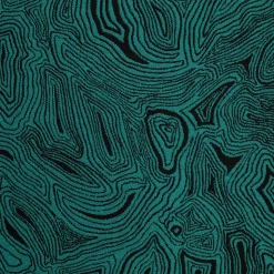 Fornasetti Cuscini^Cuscino Da Esterno Malachite Verde/Nero