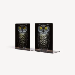 Fornasetti Fermalibri^Fermalibri Civetta Multicolore