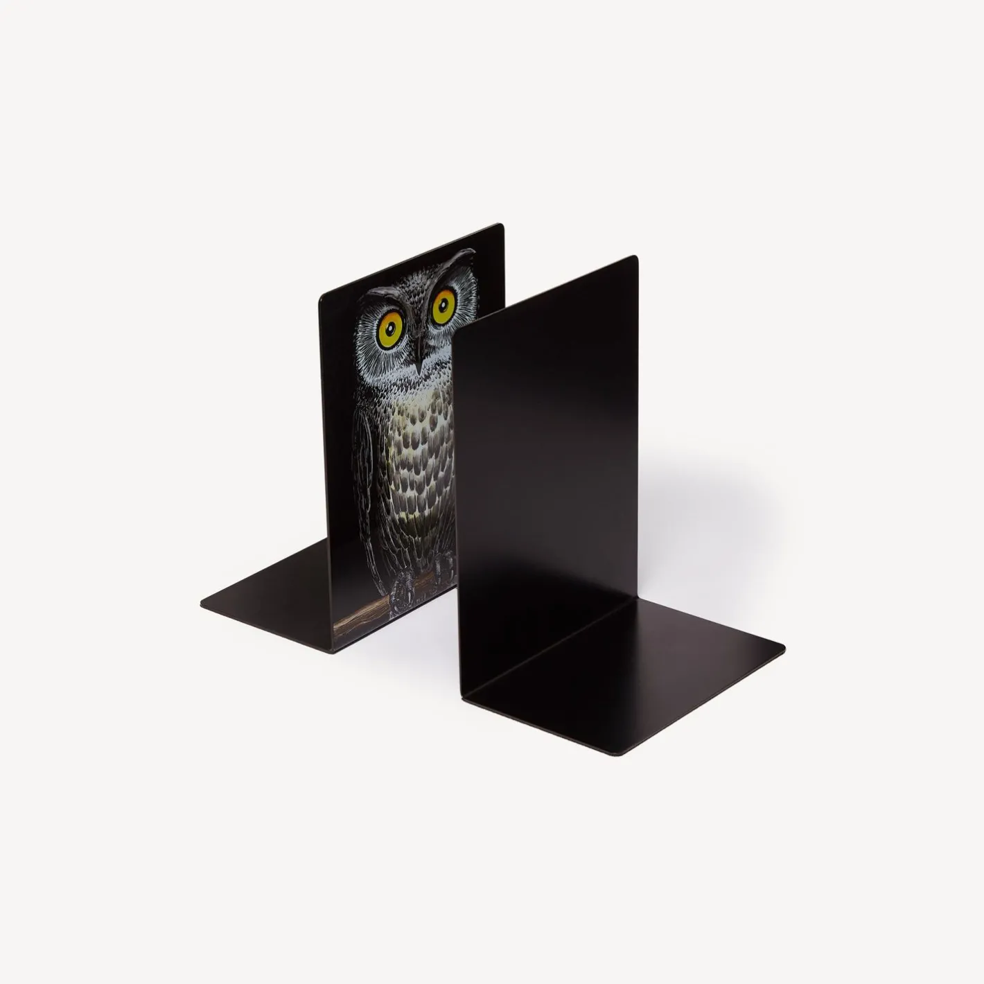 Fornasetti Fermalibri^Fermalibri Civetta Multicolore