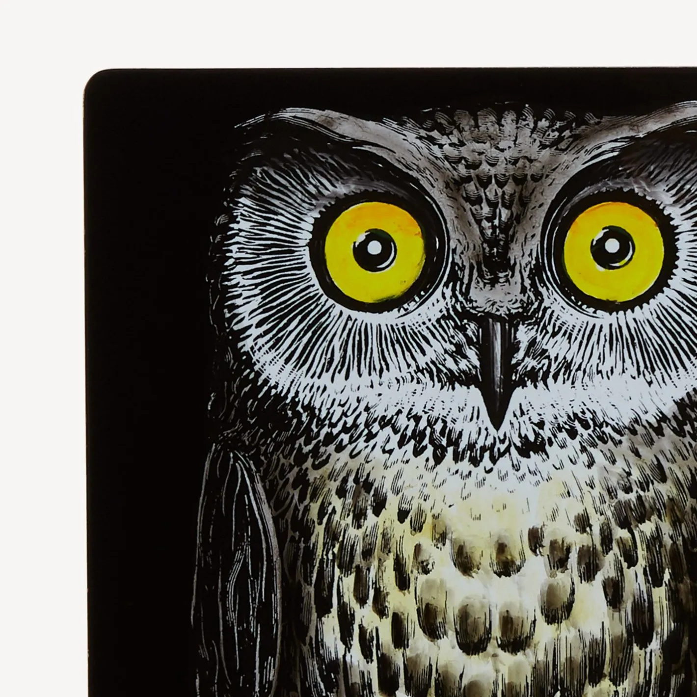 Fornasetti Fermalibri^Fermalibri Civetta Multicolore