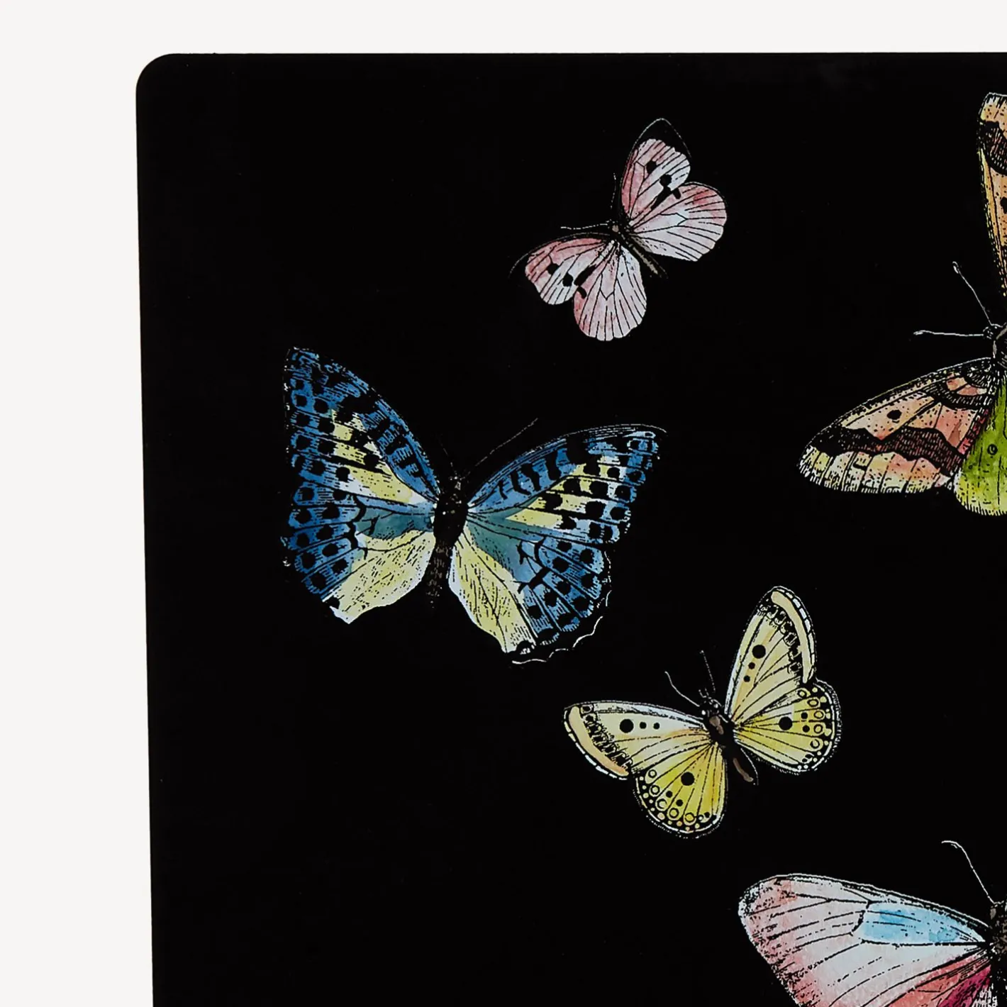 Fornasetti Fermalibri^Fermalibri Farfalle Multicolore