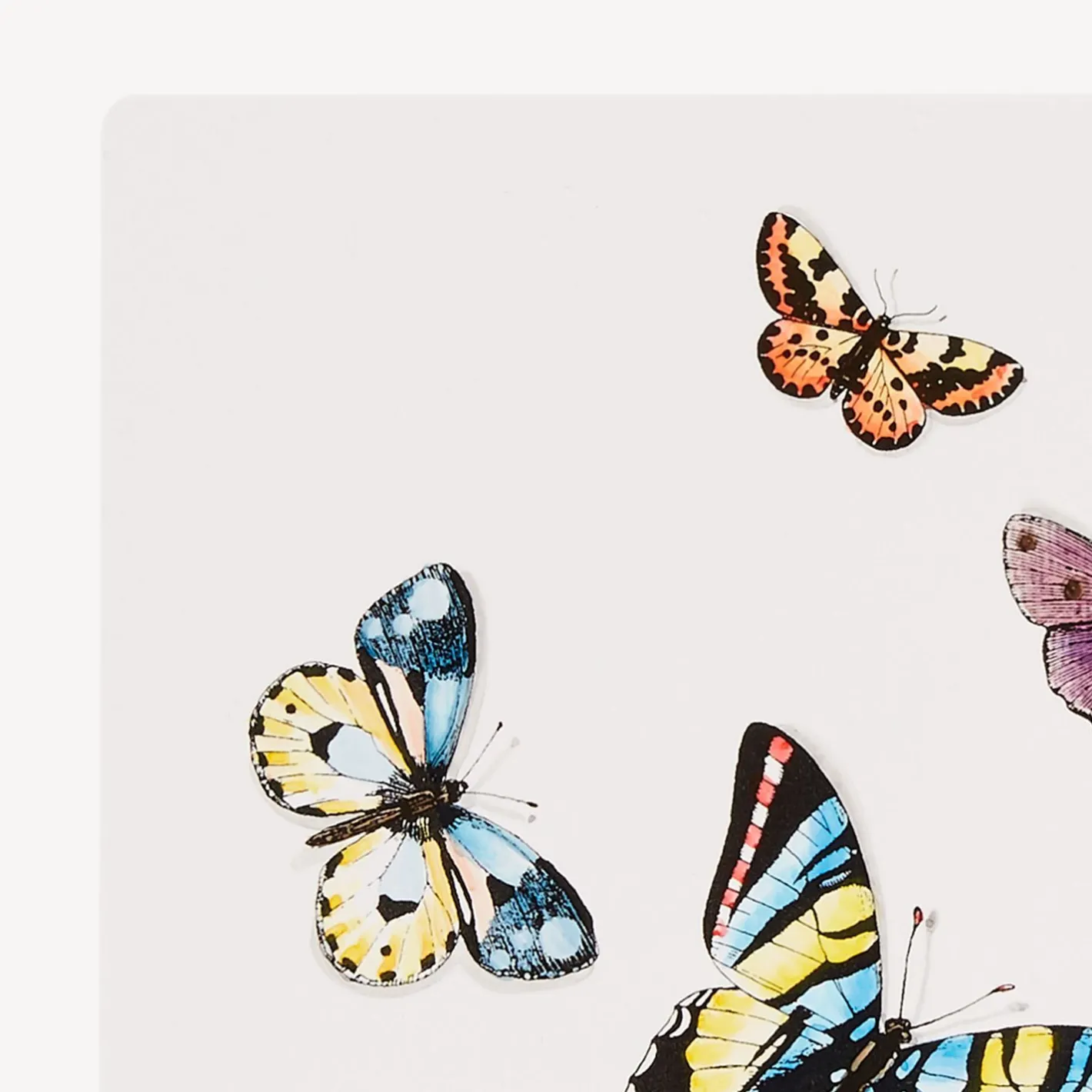 Fornasetti Fermalibri^Fermalibri Farfalle Multicolore