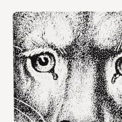 Fornasetti Fermalibri^Fermalibri Leone Bianco Nero