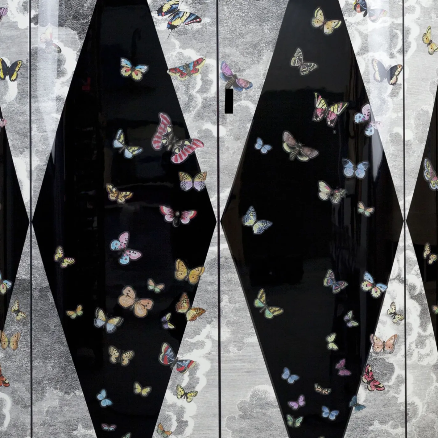 Fornasetti Armadi Curvi^Mobile Curvo Volo Magico Multicolore
