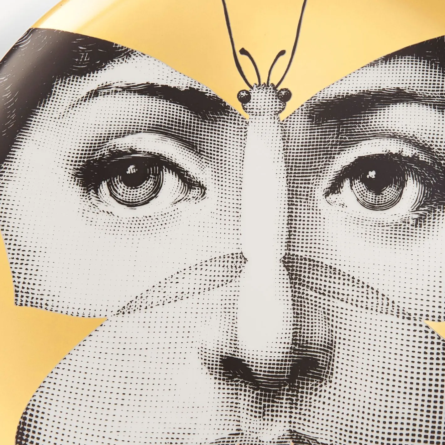 Fornasetti Animali^Piatto Da Muro Tema E Variazioni N.96 Bianco/Nero/Oro