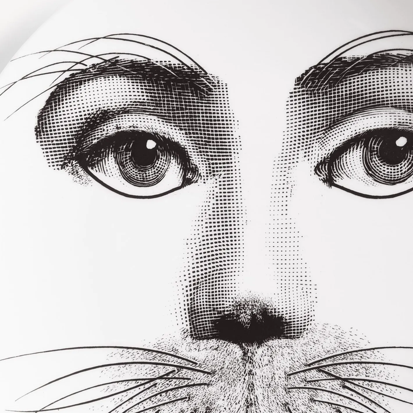 Fornasetti Animali^Piatto Da Muro Tema E Variazioni N.311 Bianco Nero