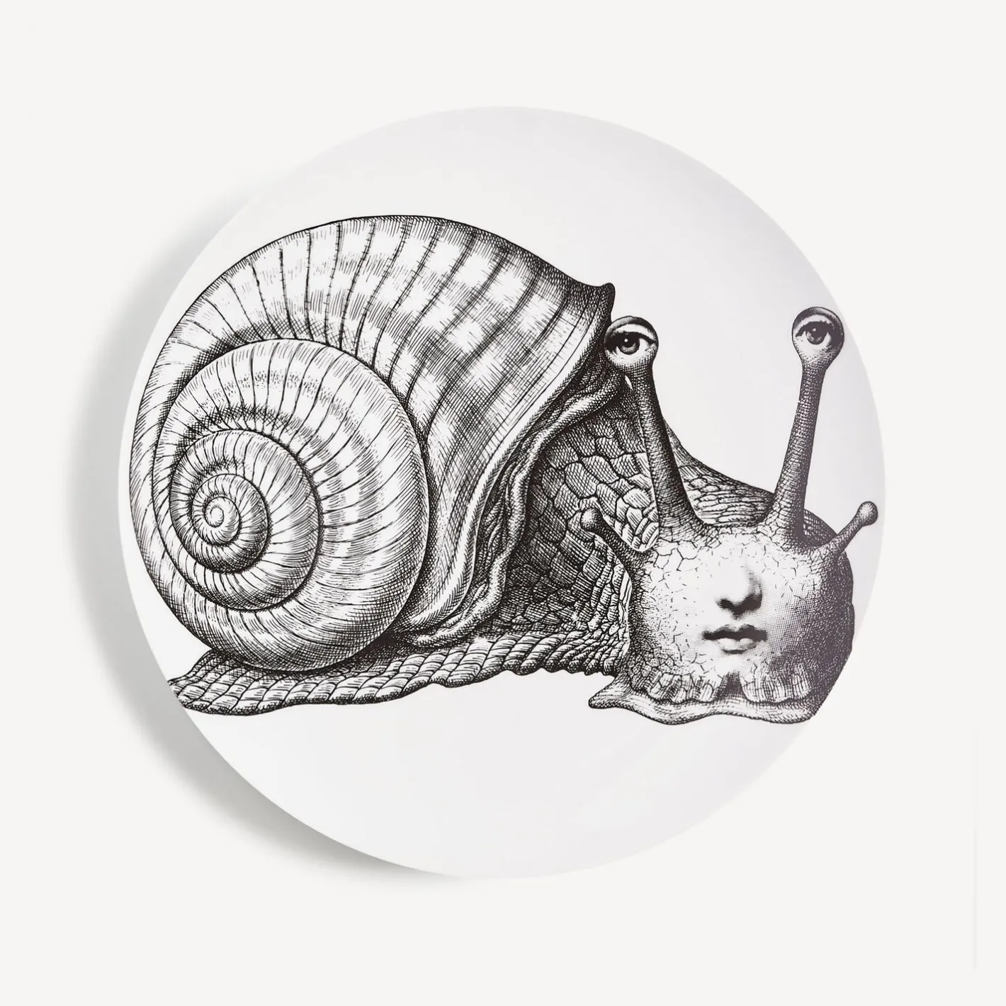Fornasetti Animali^Piatto Da Muro Tema E Variazioni N.260 Bianco Nero