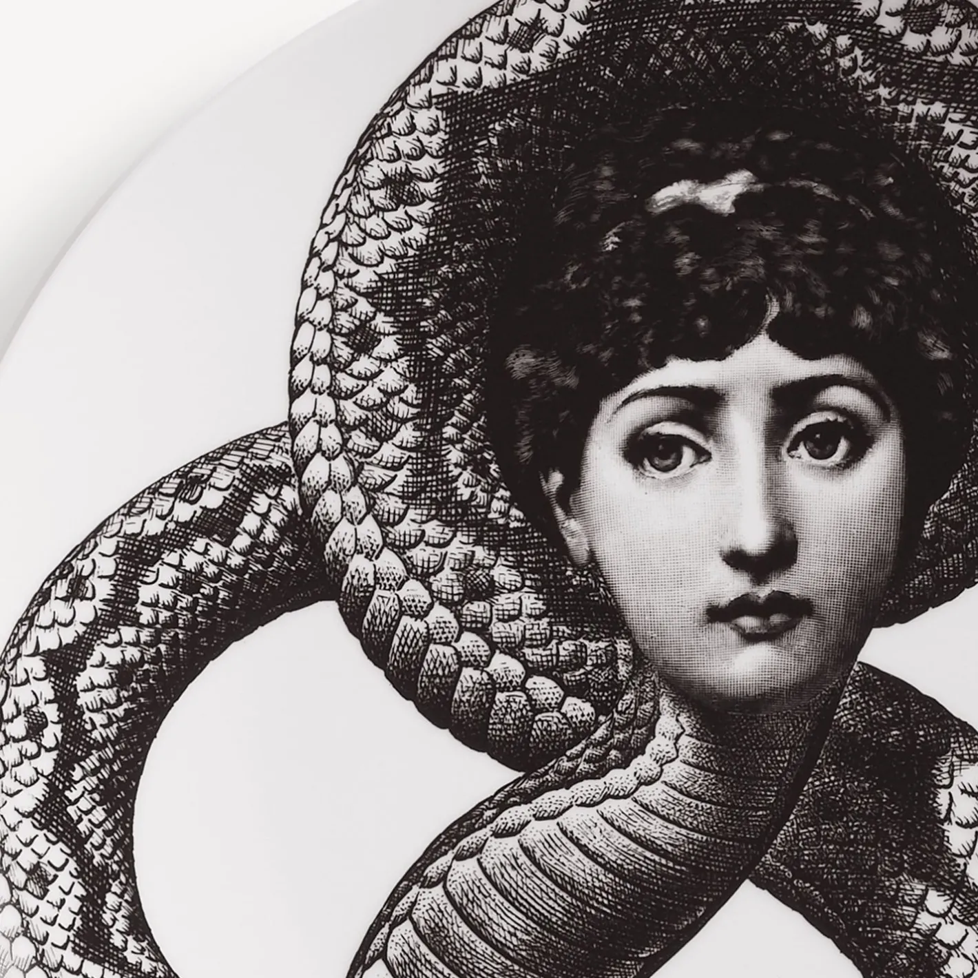 Fornasetti Animali^Piatto Da Muro Tema E Variazioni N.198 Bianco Nero