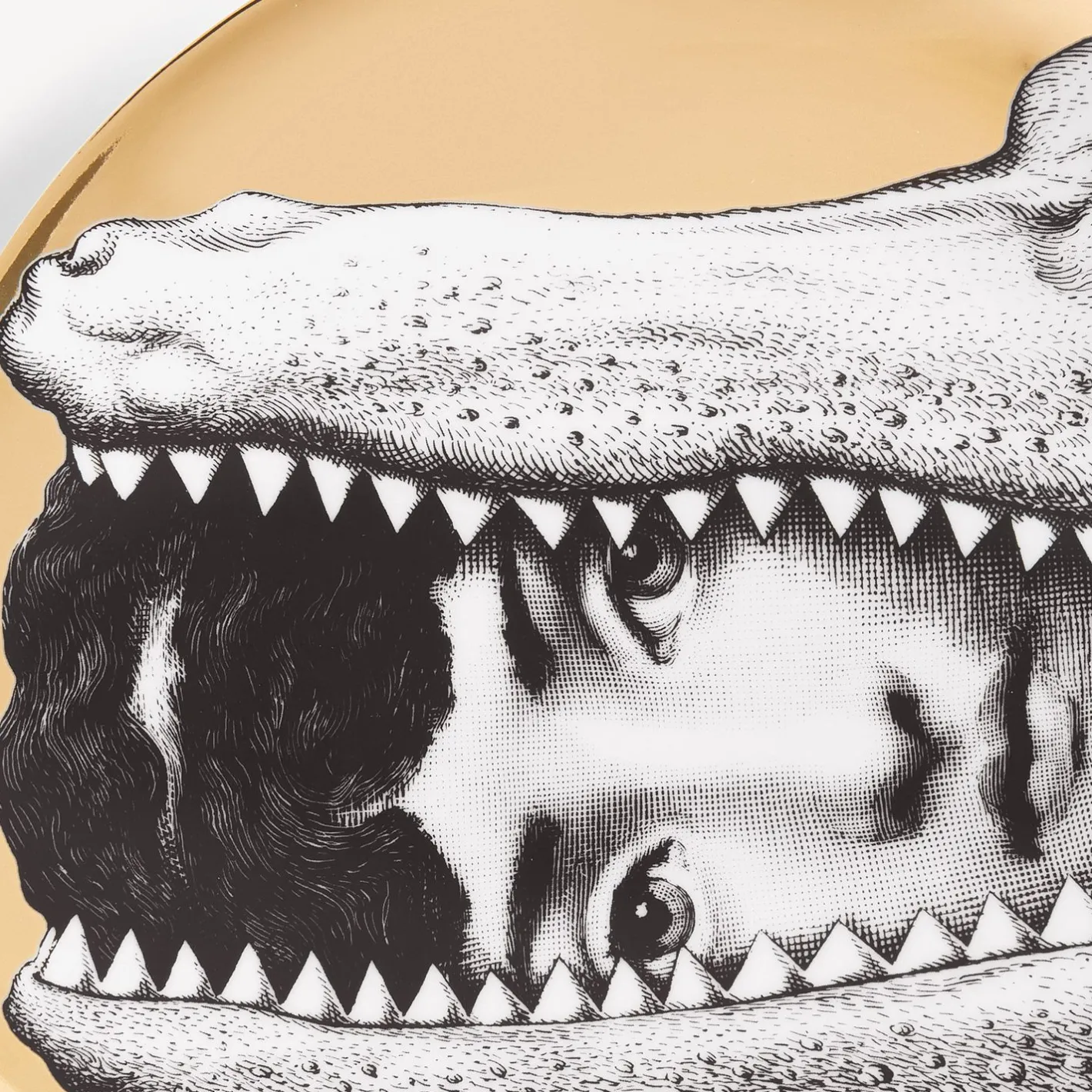 Fornasetti Animali^Piatto Da Muro Tema E Variazioni N.233 Bianco/Nero/Oro