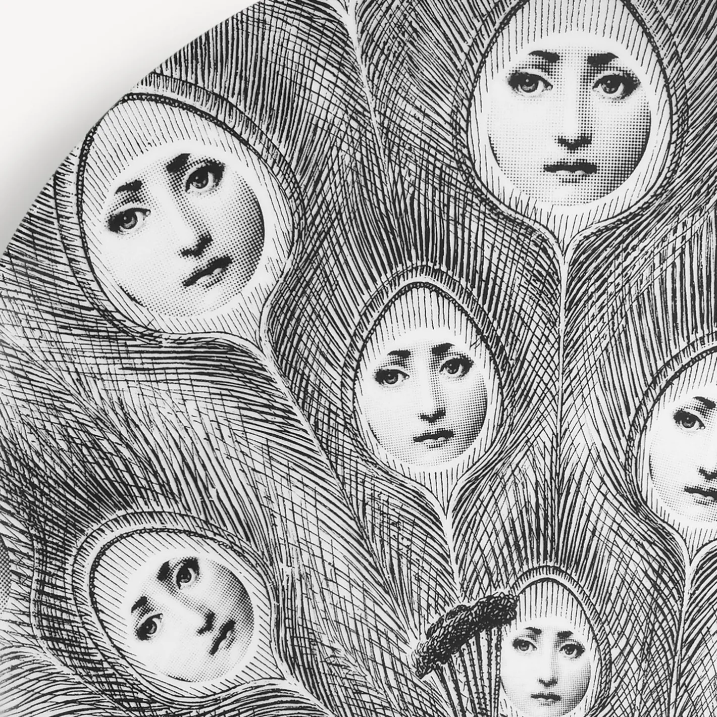 Fornasetti Animali^Piatto Da Muro Tema E Variazioni N.259 Bianco Nero