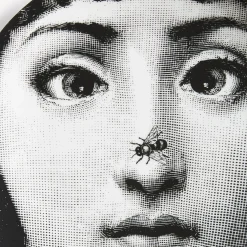 Fornasetti Animali^Piatto Da Muro Tema E Variazioni N.363 Bianco Nero