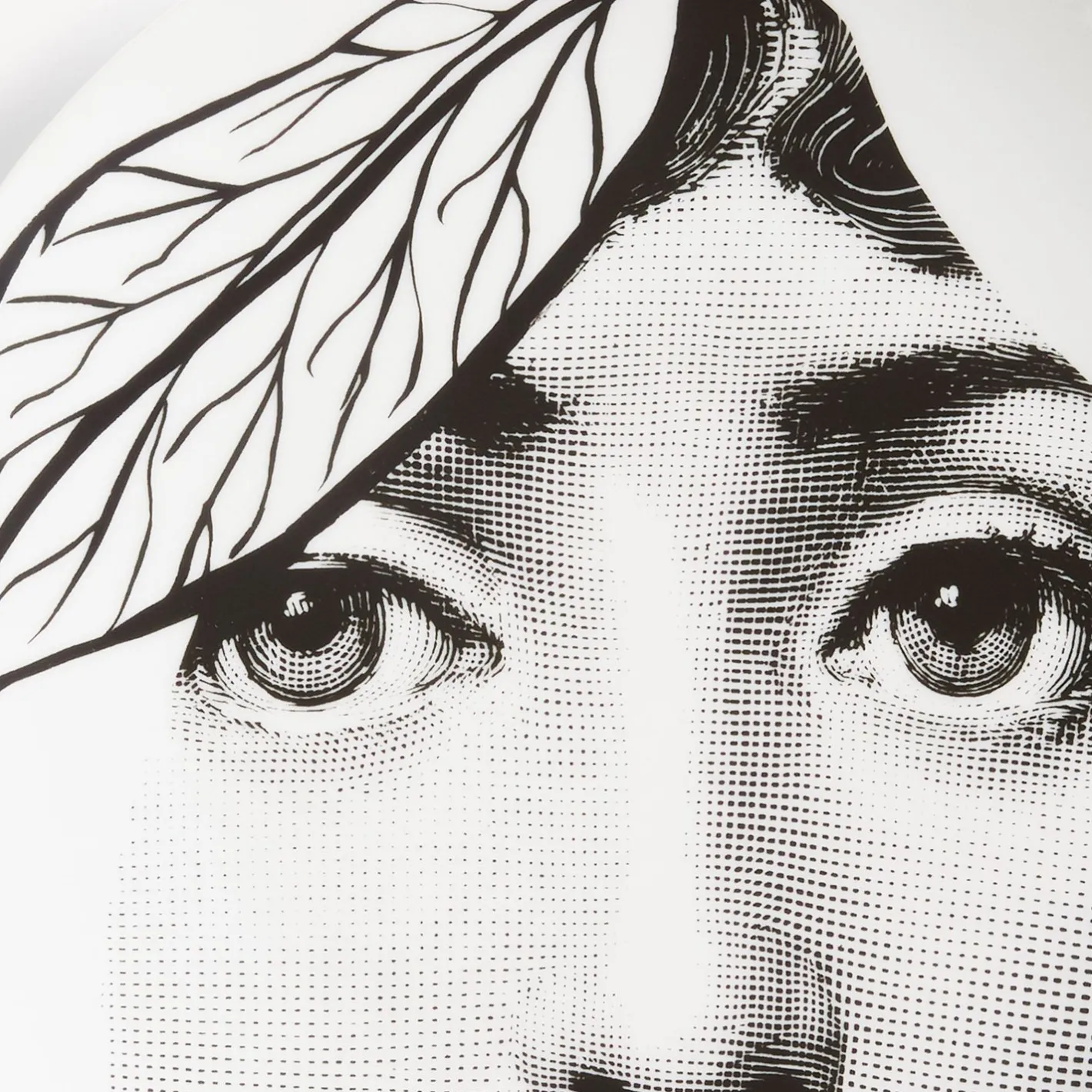 Fornasetti Frutta^Piatto Da Muro Tema E Variazioni N.24 Bianco Nero