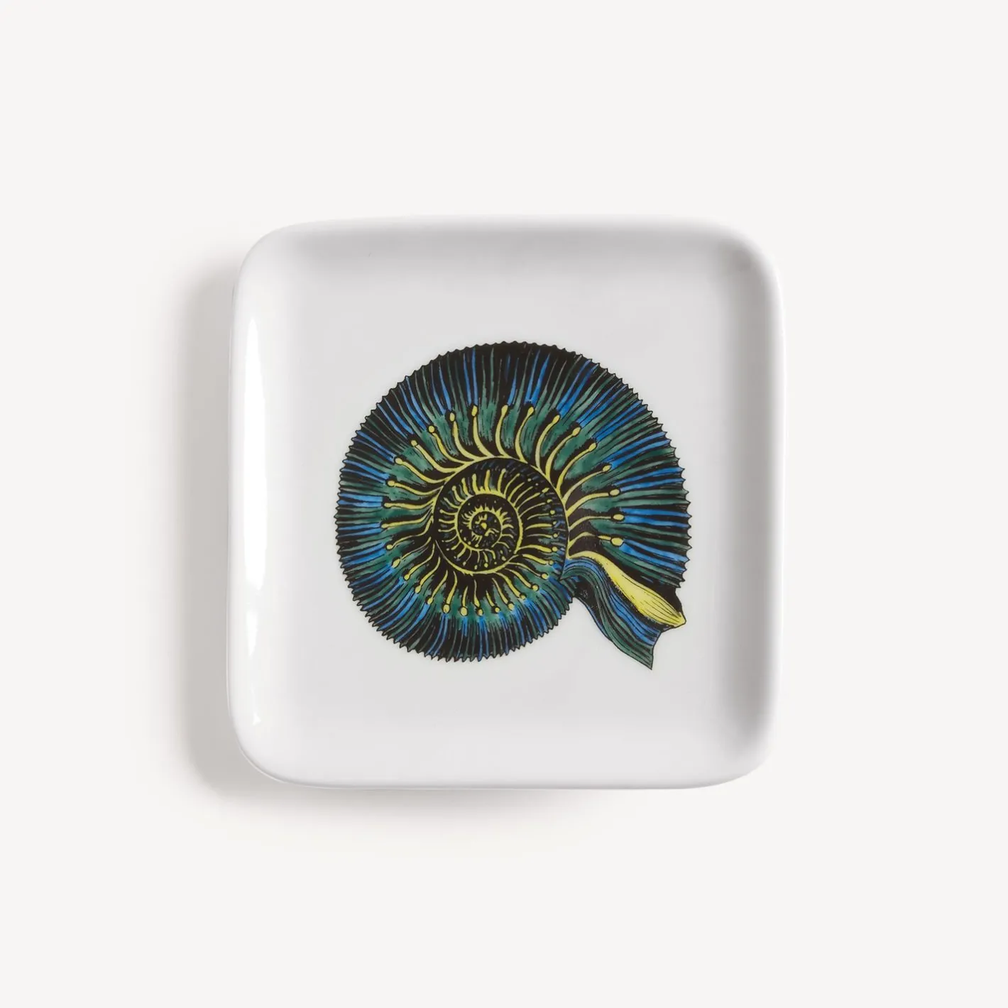 Fornasetti Posacenere Di Design^Posacenere Conchiglia Fossile Multicolore
