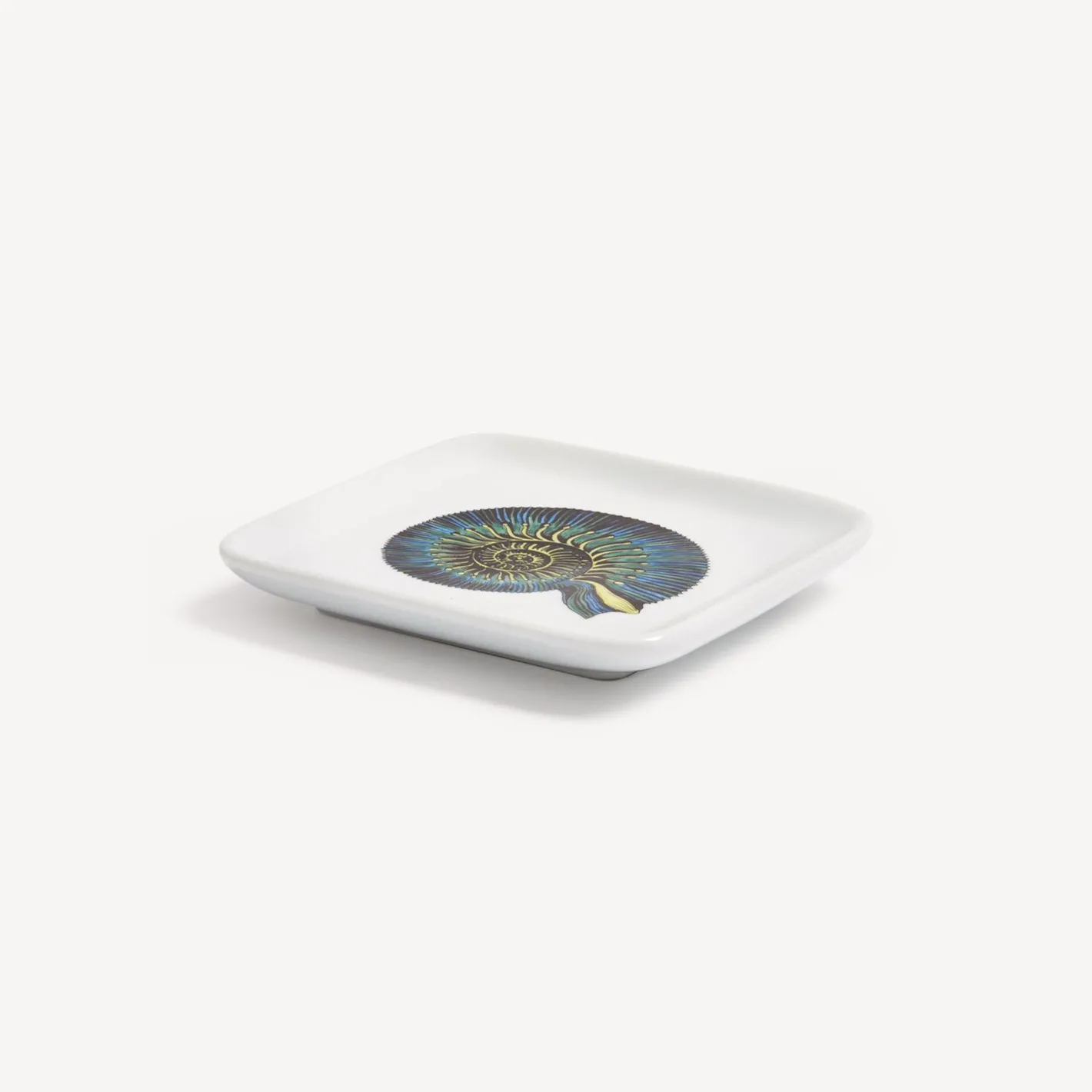 Fornasetti Posacenere Di Design^Posacenere Conchiglia Fossile Multicolore