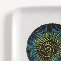 Fornasetti Posacenere Di Design^Posacenere Conchiglia Fossile Multicolore