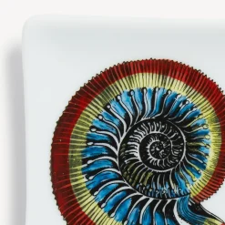 Fornasetti Posacenere Di Design^Posacenere Rettangolare Giro Di Conchiglie Multicolore
