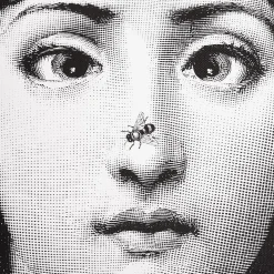 Fornasetti Cuscini^Scimmia Cuscino Bianco Nero