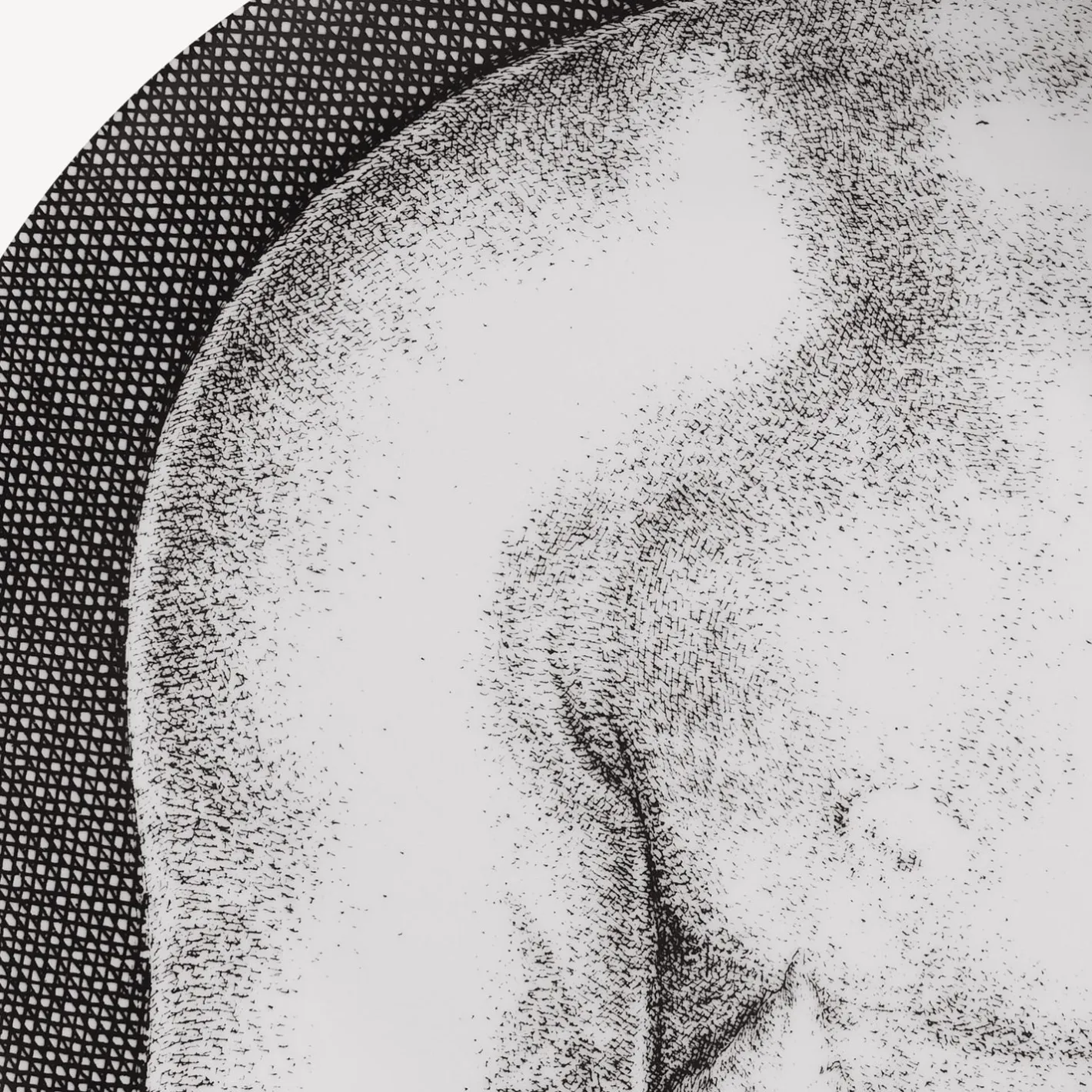 Fornasetti Piatti Decorativi^Set 12 Piatti Adamo Bianco Nero
