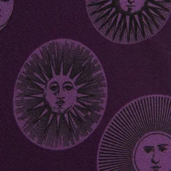 Fornasetti Cravatte^Tie Soli Viola