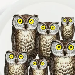 Fornasetti Vassoi E Pliants Decorativi^Vassoio Civette Multicolore