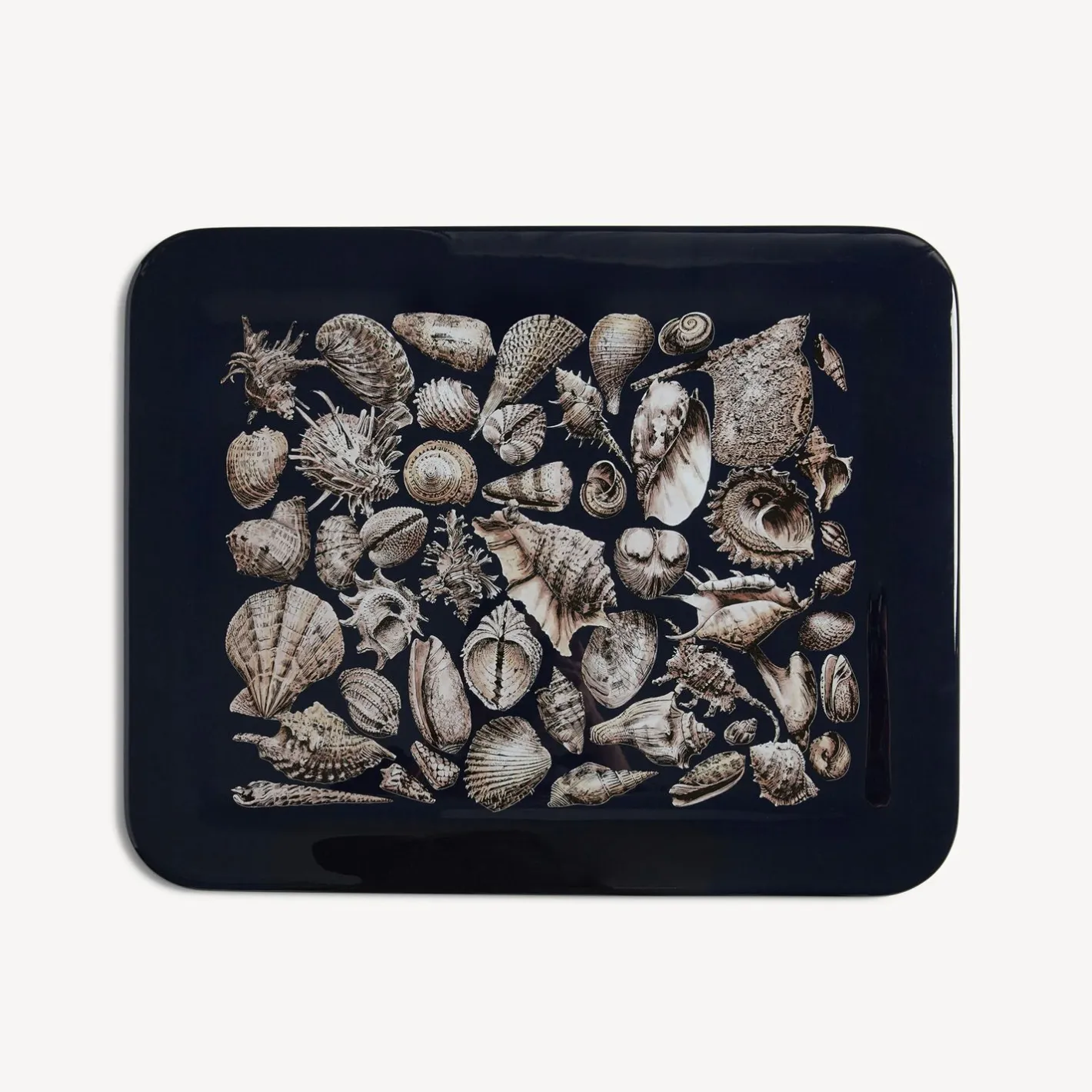 Fornasetti Vassoi E Pliants Decorativi^Vassoio Conchiglie Bianco/Nero/Blu